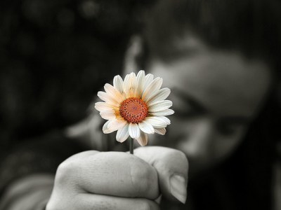 Margaridas pelo Caminho