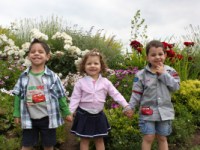 O Mistério da Criação